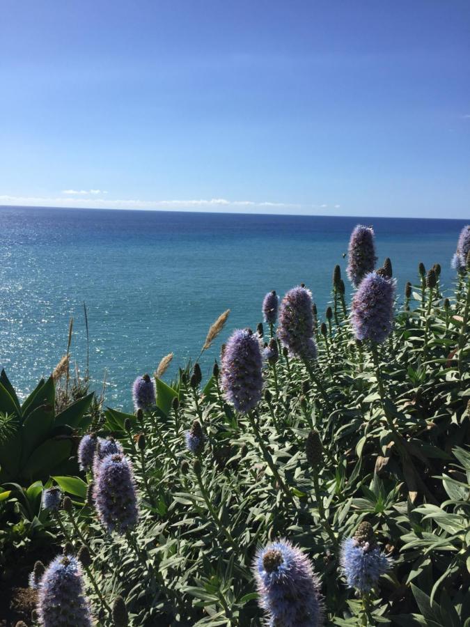 Calheta Ocean View Apartment 2 - Air Condition Estreito Da Calheta Екстериор снимка